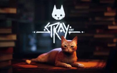 STRAY / Testé sur le bout des coussinets