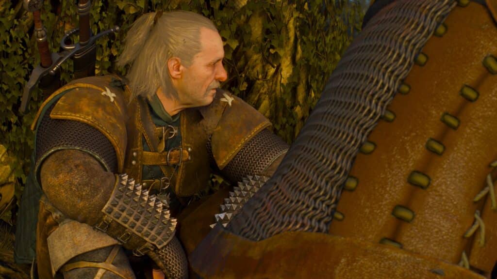 Witcher 3 texturing inégal